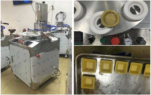 GELGOOG Egg Tart Machine Manufacturer In China