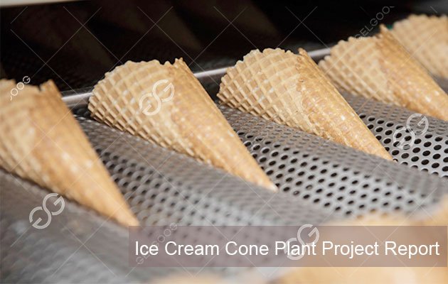 Waffle Ice Cream Cone Manufacturing Plant Project Report