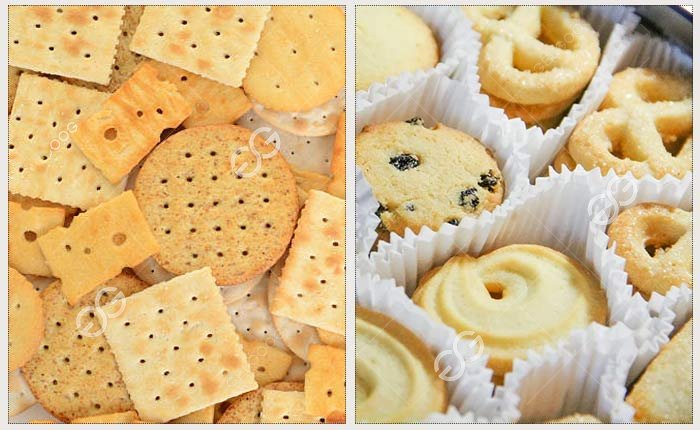 Difference Between Biscuit and Cookie