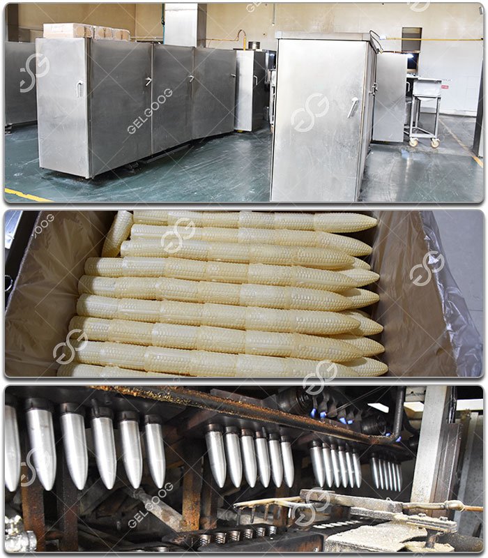 Wafer Cone Production Line for Factory