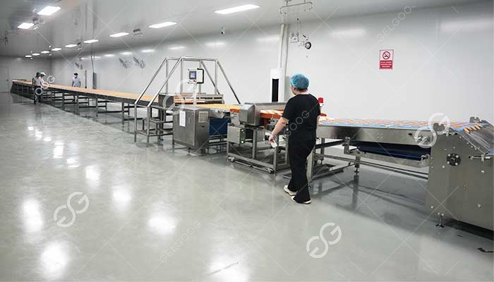 Biscuit Processing Line Manufacturer